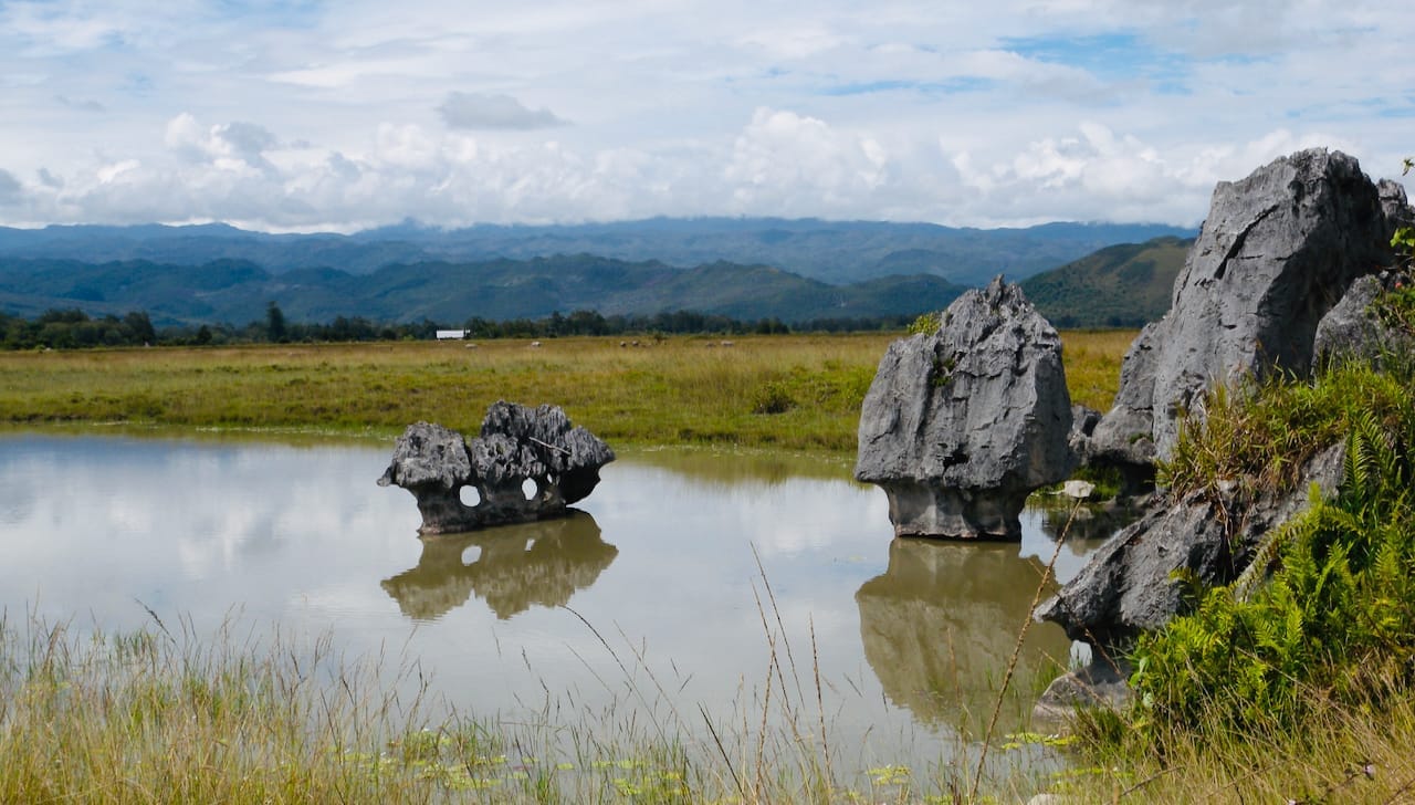 Stone formations, shaped by wind erosion, standing in a small lake with forested hills in the background.